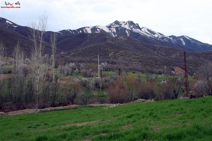 منظره ای بهاری از دشت سورین