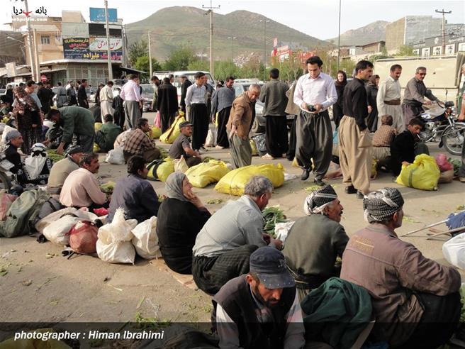 بازار سنتی گیاه فروشان بانه